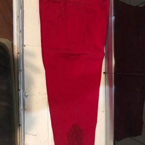 Capri Pants with Cute Lace Detail